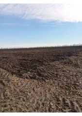 Земельный участок площадью 700000 кв.м. Воронежская область, Борисоглебский городской округ, село Макашевка, 3,2 км по направлению на северо-восток. Назначение: земли сельскохозяйственного назначения. Кадастровый номер: 36:04:2400002:33. Продается 3/14 доли земельного участка.