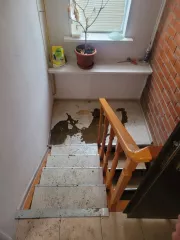 Недвижимое имущество (двухэтажный жилой дом 277,9 кв. м), Кадастровый номер: 72:17:2403001:218. Расположенный по адресу: Российская Федерация, Тюменская область, Тюменский район, д. Есаулова, улица Северная, дом 9. 
Земельный участок, категория земель: земли населенный пунктов. Разрешенное…