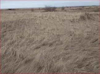 Земельный участок 657 кв.м, площадь 657 кв.м, адрес: Россия, Челябинская область, р-н Красноармейский, поселок Петровский, улица Омская, 44а, категория земель: Земли населенных пунктов, разрешенное использование: для индивидуального жилищного строительства, кадастровый номер 74:12:1205004:1352. На…