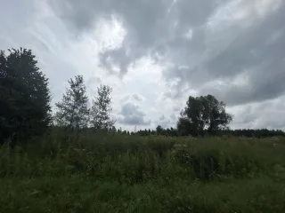Земельный участок площадью 1500 кв.м, Московская область, с КН 50:33:0030250:702. Площадь: 1500. Кадастровый номер: 50:33:0030250:702. Основной вид разрешенного использования: 2.1.