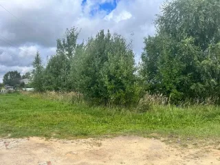 Право на заключение договора купли-продажи земельного участка Земельный участок с кадастровым номером 12:05:3101001:1588, категория земель - земли населенных пунктов, разрешенное использование – ведение садоводства, площадью 600 кв. м, расположенный по адресу: Республика Марий Эл, г. Йошкар-Ола, д…