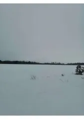 18/18 долей земельного участка, 3 418 033 кв.м, Курганская область 1/18 доля земельного участка в Курганской обл. еще 1/18 доля земельного участка в Курганской обл. еще 1/18 доля в праве на Земельный участок, площадь: 3 418 033кв.м., кадастровый номер: 45:18:000000:333, адрес (местонахождение)…