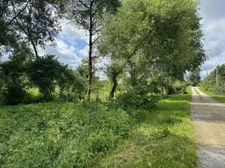 Земельный участок 679 кв.м, ИЖС, д.Чащь, Волоколамский округ, Московская область. В соответствии со статьёй 39.18 Земельного кодекса Российской Федерации, информируем о возможности предоставления в собственность земельного участка: кадастровый квартал 50:07:0010205, площадь 679 кв.м, категория -…