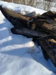 Сосна 15 шт Древесина (лесоматериалы и пиломатериалы): части (срезов) стволов деревьев породы сосна — 15 шт. Рег № ПИБИ: 37-005740-1. Имущество находится на открытой площадке. Реализуется в качестве годных остатков.