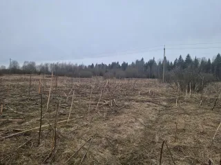 Земельный участок с кадастровым номером 69:10:0000037:1691, площадью 1 077 кв.м., местоположение: Тверская область, Калининский район, Верхневолжское с/п, с.Петровское.