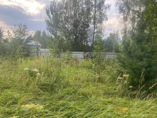 Земельный участок 750 кв.м Московская область для индивидуального садоводства. Местоположение установлено относительно ориентира, расположенного в границах участка. Почтовый адрес ориентира: обл. Московская, р-н Талдомский, д. Кушки. Кадастровый номер 50:01:0060351:34