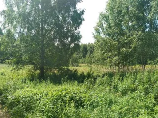 Земельный участок 1506 кв.м, Нижегородская обл, Сокольский р-н, кадастровый номер 52:07:0600032:586, площадь 1506 по адресу Нижегородская обл, р-н Сокольский, с/с Волжский, д Рошвенская, ул Цветочная, д 24, основной вид разрешенного использования: 2.1.