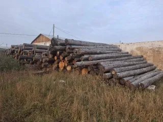 Лес кругляк лиственницы 146 м3