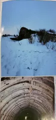 Нежилое здание общей площадью 401,1 кв.м, кадастровый номер 02:71:020104:124, и нежилое здание общей площадью 365,4 кв.м, кадастровый номер 02:71:020104:125, вместе с земельным участком площадью 8964 кв.м, кадастровый номер 02:71:020204:86. Адрес: РФ, РБ, г. Давлеканово, ул. Российская, 5/1. …