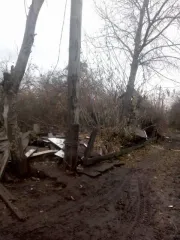 1/2 доли здания и земельного участка в СНТ "Электродчик" (24 кв.м и 447 кв.м), Челябинск, кадастровый (условный) номер 74:36:0109001:205, место нахождения: Россия, г. Челябинск, СНТ "Электродчик", уч. № 90, площадь 447 кв.м. и 1/2 доли в праве общей долевой собственности на нежилое здание, площадь…