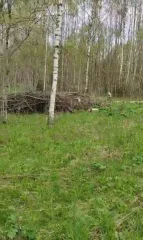 Земельный участок, 3740 кв.м, Ленинградская область. Категория земель — земли населенных пунктов, кадастровый (условный) номер 47:29:0657001:1466. Основание права собственности: договор купли-продажи земельного участка б/н от 07.08.2018.