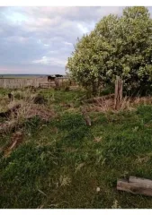 Земельный участок 2700 кв.м, Иркутская область, Заларинский район, с. Холмогой. Земельный участок в Иркутской обл., 2700 кв.м. Кадастровый номер: 38:04:140503:108. Виды разрешенного использования объекта недвижимости: Для ведения личного подсобного хозяйства. Площадь: 2700. Адрес: Иркутская…
