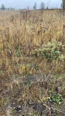 Земельный участок площадью 34338 кв.м. Ханты-Мансийский автономный округ - Югра, город Нижневартовск. Категория земель: земли населенных пунктов, вид разрешенного использования: под существующее сооружение. Кадастровый номер: 86:11:0902001:367.