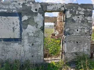 Конечно, пришлите текст объявления, и я его оптимизирую согласно вашим требованиям.