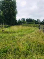 Здание 8,1 кв.м, участок 1713 кв.м, Свердловская область. Нежилое здание с кадастровым номером 66:59:0213001:305, общей площадью 8,1 кв.м., земельный участок с кадастровым номером 66:59:0213001:182 общей площадью 1713 кв.м., расположенные по адресу Свердловская область, г. Полевской, д. Кенчурка…