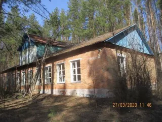 нежилые здания, сооружения, движимое имущество и земельный участок. по адресу:  Республика Мордовия, Старошайговский район, п. Ягодная Поляна. Нежилые здания, сооружения, движимое имущество, земельный участок, кадастровый номер 13:18:0123003:610 площадью 93 055 кв.м.. Рыночная стоимость земельного…