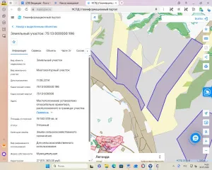 Земельный участок сельхозназначения 4 933 334,93 кв.м, Забайкальский край, для сельскохозяйственного использования площадью 4933334,93 кв.м (контур № 7). Основной вид разрешенного использования: 1.0. Кадастровый номер: 75:13:000000:196. Площадь: 4933334.93