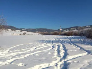 Земельный участок 5800 кв.м. в Бурятии. Кадастровый номер: 03:14:080108:8. Находится в совместной собственности. Местоположение установлено относительно ориентира в границах участка. Почтовый адрес ориентира: Республика Бурятия, район село Калиновка, падь "Сухая".