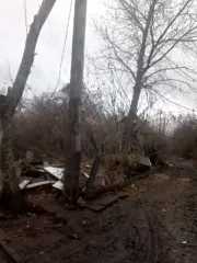 1/2 доли здания и земельного участка в СНТ "Электродчик" (24 кв.м и 447 кв.м), Челябинск, кадастровый (условный) номер 74:36:0109001:205, место нахождения: Россия, г. Челябинск, СНТ "Электродчик", уч. № 90, площадь 447 кв.м. и 1/2 доли в праве общей долевой собственности на нежилое здание, площадь…