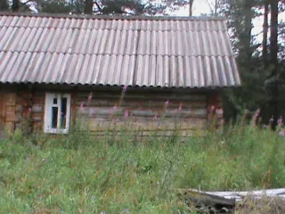 Нежилое здание 74,4 кв.м, овощехранилище 108,2 кв.м, баня 24 кв.м, Вологодская область имущественный комплекс: нежилое здание (пчеловодческий комплекс), кадастровый номер 35:08:0203005:11, площадь 74,4 кв.м., рубленное, 2002 года постройки, инвентарный номер 1217; нежилое здание (овощехранилище)…