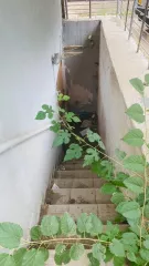 Нежилое помещение, общей площадью 83,0 кв. м, расположенное на цокольном этаже многоквартирного жилого дома Лот № 1: недвижимое имущество, находящееся в собственности Республики Крым – нежилое помещение, общей площадью 83,0 кв. м, кадастровый номер 90:22:010401:1260, состоящее из 2-х помещений (№…