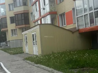 Нежилое помещение, общей площадью 322,3 кв. м, кадастровый номер 41:05:0101001:10275, этаж "цоколь", расположенное по адресу: Камчатский край, Елизовский р-н, Елизово, Гришечко ул, дом 17, пом. 83