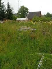 Земельный участок, 572 кв.м, СНТ "Оргстрой", линия 8, уч. 208, Ленинградская область, адрес: Ленинградская область, Волховский муниципальный район, Кисельнинское сельское поселение, массив Пупышево, СНТ "Оргстрой", линия 8, уч. 208, кадастровый номер 47:10:1339006:16.