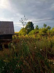 Дом 48,2 кв.м и участок 5000 кв.м, два объекта, Тульская область, Ефремовский, с/п Лобановское, д Иноземка, д.228. Земельный участок, общей площадью 5 000 кв.м., кадастровый (условный) номер: 71:08:060303:263. Жилой дом, площадью 48,2 кв.м., кадастровый (условный) номер: 71:08:060303:968.