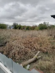 Дом 34,9 кв.м и земельный участок 1697 кв.м в Ульяновской области, Вешкаймский район, поселок городского типа Чуфарово, улица Комарова, дом 18. Кадастровый номер участка: 73:03:030705:21, назначение: земли населенных пунктов. Кадастровый номер дома: 73:03:030705:127, назначение: жилой дом…