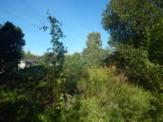 Земельный участок площадью 1135 кв.м, расположенный по адресу: Российская Федерация, Санкт-Петербург, внутригородское муниципальное образование города федерального значения Санкт-Петербурга муниципальный округ Константиновское, территория Сергиево, улица Карла Маркса, земельный участок 2…