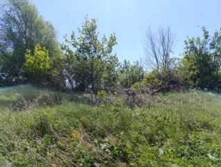 Земельный участок 199 530 +/- 156 кв. м, местоположение: Калининградская обл., Гурьевский р-н, п. Голубево, 1,4 км на запад от центра, кадастровый номер 39:03:080821:433, земли населенных пунктов - для размещения складских помещений, ограничения и обременения: ограничения прав на земельный участок…