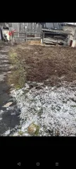 Земельный участок, площадь 593 +/- 8.52 кв.м., адрес (местонахождение): Ивановская область, Ивановский район, СНТ "Василек", уч. 1, кадастровый (условный) номер: 37:05:021212:69. Титульный собственник земельного участка - супруг должника. Имеется запрет регистрационных действий, предпринимаются…