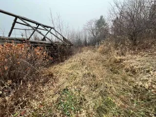 Требование к ООО "Ромашка" 1,5 млн руб