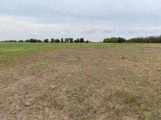 Земельный участок площадью 241600 кв.м, Астраханская область, 1/4 доли, кадастровый номер 30:02:000000:1253, вид разрешенного использования - для сельскохозяйственного производства. Расположен в Володарском районе, в границах землепользования колхоза им. Курмангазы, примерно в 2,0 км на восток от…