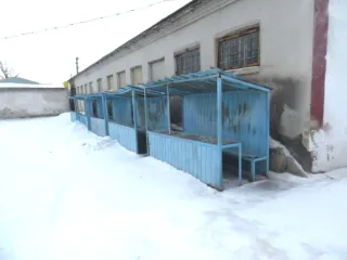 Торговые прилавки 44 штуки, киоски открытые 11 штук. Ознакомление с имуществом осуществляется по заявке по тел. 89048159915 или эл. адресу: chesaserg@mail.ru.