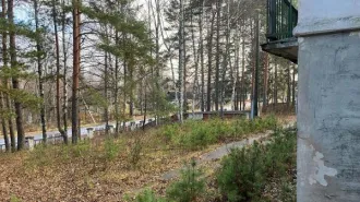 Нежилое здание площадью 1683,4 кв.м, назначение: нежилое, кадастровый номер 44:09:150101:1835, адрес: Костромская область, Макарьевский район, пос. Горчуха, ул. 1 Мая, д. 7, количество этажей: 3. С одновременным отчуждением земельного участка площадью 3442 кв.м, категория земель: земли населенных…