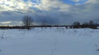 Коровники 556.2 кв.м, мехдвор 457.8 кв.м, участок 9.82 га, Тульская область. Коровник №2, коровник №3 и мехдвор с земельным участком для скотоводства (для иных видов сельскохозяйственного использования), расположенные по адресу: Тульская область, Заокский район, с. Шульгино. Коровник №2…