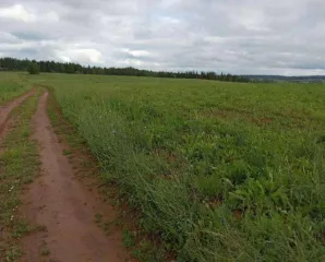 Доля в праве на земельный участок общей площадью 1 014 385 кв. м, кадастровый номер: 18:22:003001:435, расположенный по адресу: Удмуртская Республика, Шарканский район, МО "Сюрсовайское", юго-восточнее с. Сюрсовай. Категория земель: земли сельскохозяйственного назначения. Вид разрешенного…