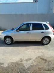 Lada Kalina 2013 года, VIN: XTA111930D0238245, госномер С557РН116. Находится в залоге.