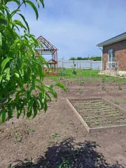 Жилой дом 141,2 кв.м, участок 840 кв.м, Орловская область, муниципальный округ Орловский, д. Образцово, Новый пер, 14. Кадастровый номер дома 57:10:0030801:17346, участка 57:10:0030801:968.