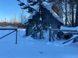 Земельный участок площадью 987 кв.м. с кадастровым номером 86:08:0020501:4784. Адрес: Российская Федерация, Ханты-Мансийский АО - Югра, Нефтеюганский район, п. Сингапай, СНТ «Усадьба», д. 50.