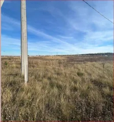 Земельный участок площадью 1000 кв.м. Адрес: Самарская область, Ставропольский район, сельское поселение Мусорка, село Мусорка, улица Кутузова, участок № 36. Категория земель: земли населенных пунктов. Разрешенное использование: для индивидуального жилищного строительства. Кадастровый номер…