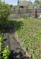 Земельный участок 636 кв.м, Омская область, городской округ город Омск, территория СОСН Сибирский садовод-1, земельный участок 226. Кадастровый номер 55:36:160107:86.