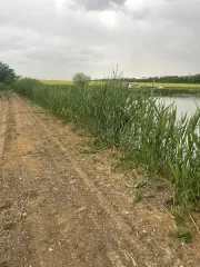 Гидротехническое сооружение (100*3,50*2,00) - ГТС в виде плотины, образующей русловой пруд кадастровый номер 26:06:000000:3759, площадь 480,00 кв.м. Общая площадь: 480. Общие сведения об ограничениях и обременениях: не имеет. Количество этажей: -. Количество подземных этажей: -. Вид ограничений и…