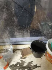 Грузовой автомобиль Scania 2015 года выпуска.