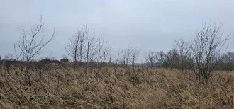 Земельный участок 2404 кв.м, Московская область. Кадастровый номер 50:35:0050303:2492. Вид разрешённого использования 2.1.