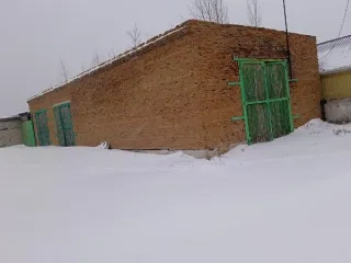 Земельный участок 1213 кв. м, автогараж 126.9 кв. м, здание гаража 194.3 кв. м, Алтайский край земельный участок площадью 1213 кв. м с кадастровым номером 22:31:020004:1588, РНФИ П11220002712 по адресу: Алтайский край, район Павловский, с. Павловск, ул. Лазо, дом 27 с расположенными на нем…