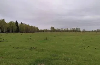 Земельный участок с кадастровым номером: 03:20:110147:173, площадью: 1500 +/- 14 м. кв., расположенный по адресу: Российская Федерация, Республика Бурятия, муниципальный район Тункинский, сельское поселение Кыренское, с. Кырен, ул. Жукова.