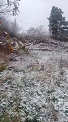 Доля земли 1215 кв.м., Томская обл., с. Молчаново, ул. Южная 1/2 Доли земли населенных пункотов (Земельный участок), кадастровый номер 70:10:0101005:291, площадь: 1215 кв.м., по адресу: 636331, Томская обл, с Молчаново, ул Южная, д. 17. Вид права: Общая долевая собственность; Дата права 15.03.2017…