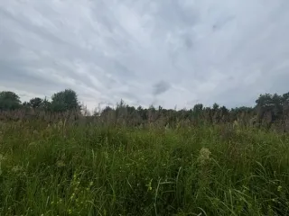 Земельный участок 917 м², КН 50:29:0040704:350, Московская область. Площадь земельного участка: 917. Кадастровый номер земельного участка: 50:29:0040704:350. Основной вид разрешенного использования: 2.2.
